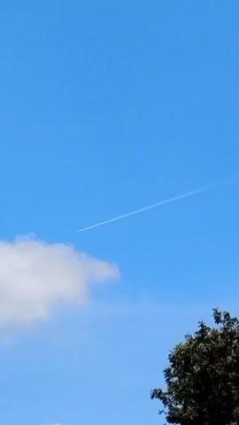 The video shows a bright blue sky with a jet contrail stretching horizontally across the frame. A fluffy white cloud is visible in the lower left corner, and the top of a green tree occupies the lower right corner. There are also sounds of children talking and playing.