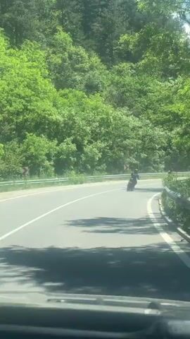The video shows a person riding a motorcycle on a paved road through a lush green forest. The road curves to the right, and there are trees on both sides of the road. The sky is visible through the trees, and it appears to be a sunny day. Another motorcycle is visible in the distance, also riding on the road. The video appears to have been filmed from another vehicle following the motorcycle.