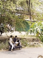 Memory