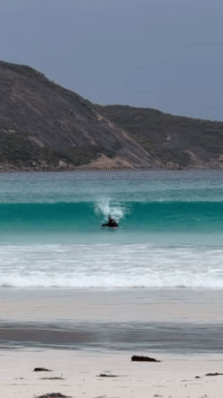 Bodyboarder rides breaking wave at Cape Le Grand, Australia