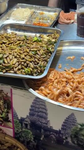 A close-up video shows various trays of cooked insects and shrimp displayed for sale at an outdoor food stall. In the foreground, a tray is filled with small, cooked shrimp. To the left, a larger tray overflows with what appear to be fried grubs or larvae, seasoned with herbs. Further left, another tray holds a pile of what seem to be fried crickets or grasshoppers, also seasoned with herbs and green onions. In the background, there are containers with what looks like rice and chili flakes, and a basket woven from natural materials. A blurry person's hand can be seen in the upper right corner. The overall environment appears to be a busy market or street food setting.