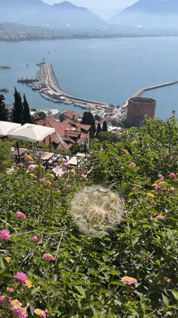 Morning panoramic view captured of Alanya coastline from hillside