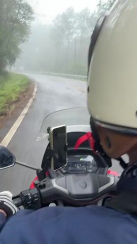 This video shows a first-person perspective of someone riding a motorcycle on a wet, winding road. The rider is wearing a white helmet, and a phone is mounted on the handlebars. The road is surrounded by lush green trees and foliage, and a thick fog blankets the scene, reducing visibility. Several cars are visible on the road ahead, navigating the curves. Yellow warning signs are posted along the side of the road, indicating curves and potential hazards. The weather appears overcast and damp, suggesting it may be raining or has recently rained.