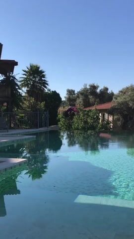 The video shows an outdoor infinity pool with clear turquoise water. The bottom of the pool is tiled with small, light-colored squares. Sunlight creates shimmering patterns on the water's surface. In the background, lush green trees and vegetation surround a building with a red-tiled roof. A palm tree is visible on the left side of the frame, and a metal fence can be seen near it. The sky is a clear, bright blue. No people or animals are visible in the video.