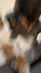 Woman in pajamas plays with excited dogs in Kedewatan