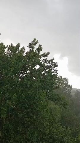 The video shows a view from above of trees and garages under a cloudy, overcast sky. Rain is falling, visible as streaks in the air, and the ground appears wet. There are several cars parked in front of the garages, and some buildings are visible in the distance. The overall atmosphere is gloomy and damp, suggesting a rainy day.