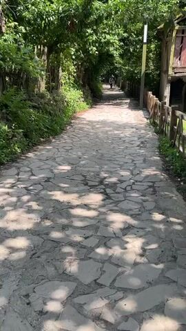 A stone pathway lined with green foliage and trees is shown. A person walks away from the camera down the path. To the right, a wooden fence runs alongside the path, and beyond the fence is a wooden structure. The sun casts dappled shadows on the path.