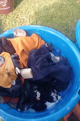 Community laundry day observed in Lumakanda ward, Kenya