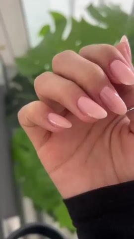 The video shows a close-up of a person's left hand with light pink, glossy nails. The nails are filed into a soft almond shape. The person is wearing a silver ring on their thumb and a black long-sleeved shirt. In the background, there is a large green plant with glossy leaves. The setting appears to be indoors with light, neutral tones. The hand is held up in front of the camera, showing off the nails.
