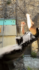 Man performs backflip, smokes in Shumen alleyway