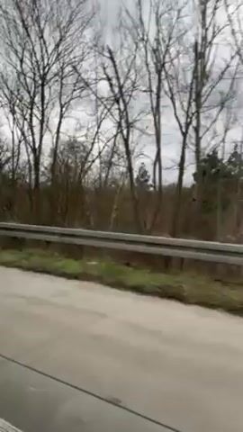 The video shows a view from a vehicle moving along a road. The sky is overcast. Trees without leaves line the side of the road, behind a brown barrier and short patch of green grass. Traffic signs are visible but too blurry to read. The road is gray.