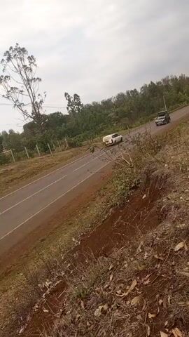 The video shows a road with a black SUV driving away from the camera, and a person filming with a cell phone. The road is a two-lane road with yellow lines separating the lanes. On the left side of the road is a grassy area with a single, tall tree. The right side of the road is bordered by a fence and a dense forest. The person filming is standing on an embankment, and their arm and cell phone are visible in the foreground. The weather appears overcast.