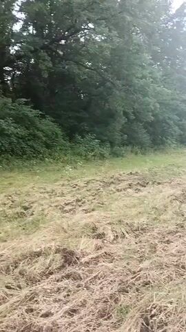 A first-person perspective video pans across a field of mown hay and tilled soil bordering a dense forest. The camera moves from left to right, revealing a railway track on the right side of the frame. The sky is overcast, and the overall lighting suggests it is daytime. There are no people or animals visible in the video. The environment appears rural and undeveloped, with the railway line suggesting the presence of human activity in the distance.