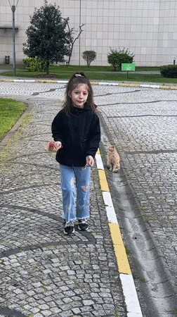 Cats spotted throughout Esenyurt district, girl approaches street cat
