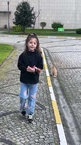 Cats spotted throughout Esenyurt district, girl approaches street cat
