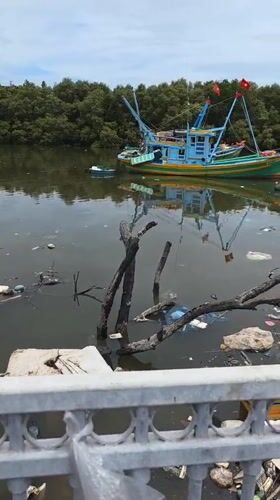 Colorful fishing boats spotted docked in Vietnamese river town