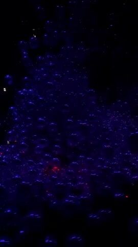 The video captures a close-up, vertical view of what appears to be a dark liquid with numerous bubbles. The bubbles are illuminated by a purplish-blue light, causing them to glow. Some of the bubbles also have small, intermittent red lights within or around them. The overall effect is abstract and cosmic, resembling a nebula or a microscopic view of some biological process. There are no discernible people, objects, or specific actions taking place, only the visual phenomenon of illuminated bubbles in darkness. The scene is static, with no camera movement or changes in lighting beyond the subtle shifts in the glowing bubbles.