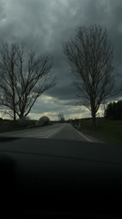Vehicle captures road view near Beli Lom, Bulgaria