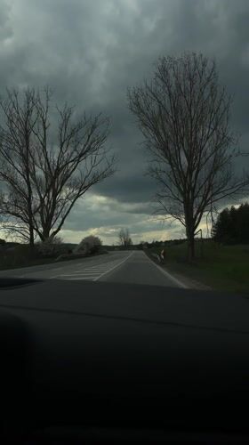 Vehicle captures road view near Beli Lom, Bulgaria
