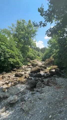 The media file captures a serene, natural scene featuring a shallow, rocky stream flowing through a lush, green forest. The stream bed is filled with an abundance of various-sized stones and pebbles, with some larger, moss-covered rocks scattered throughout. Clear, shallow water meanders over these rocks, creating small rivulets and reflecting the bright blue sky.

The surrounding environment is dominated by dense foliage. To the left, a thick cluster of vibrant green bushes and trees creates a verdant wall. On the right, the trees are taller and more mature, with some branches casting dappled shadows into the scene. In the background, the landscape rises gently, with more trees and hints of distant structures or hills visible under a clear sky. The presence of a few scattered clouds suggests it is daytime.

The overall atmosphere is peaceful and tranquil, evoking a sense of untouched nature. The bright sunlight filtering through the leaves and illuminating the water indicates a sunny day, likely during the warmer months. The image conveys a feeling of calm and natural beauty, inviting the viewer to imagine the sounds of the flowing water and the rustling leaves. There are no people or identifiable man-made objects apart from the distant, indistinct structures. The location context of Podgorica, Montenegro, suggests a temperate climate where such lush, forested stream environments are common. The time of day appears to be mid-morning to early afternoon, given the quality of the light and the clear blue sky.