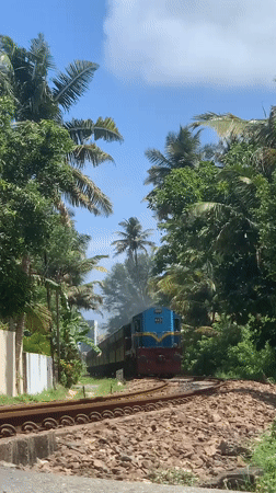 Train and beach scenes documented along Sri Lanka's coast
