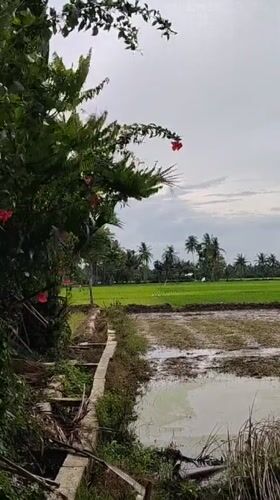 Baratpayaitek, Indonesia