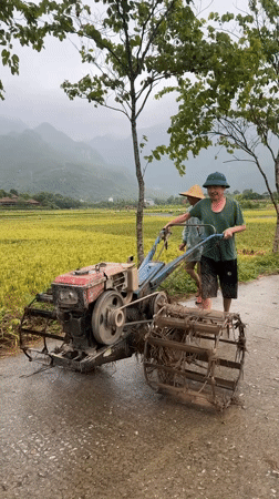 Farmers work flooded rice paddies with tillers in Vietnam