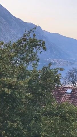 A static, medium shot of a landscape featuring mountains and a body of water. In the foreground, the focus is on the red-tiled roof of a building with two skylights. A tree with green leaves is visible on the left side of the frame, partially obscuring the view. A few leafless trees are to the right of the roof. Beyond the roof, there is a bay or lake with calm water that reflects the sky. In the distance, there are mountains covered in vegetation. The sky is clear with some light clouds, suggesting either dawn or dusk. A bird briefly flies into frame and then out.
