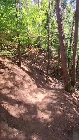 A first-person perspective video shows a dirt path winding through a forest. Tall, slender trees with rough bark line the path, casting dappled shadows on the ground. The path appears to be descending a gentle slope. Sunlight filters through the dense canopy of green leaves, illuminating patches of the forest floor. The ground is covered in fallen leaves and dry dirt. The overall scene is one of a natural, wooded environment.