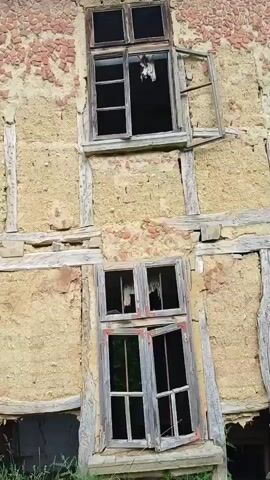 The video shows a dilapidated two-story building. The walls are a combination of exposed brick and a yellowish-brown material. The building has wooden beams along the walls. There are two windows visible, both with broken panes. The lower window is a four-pane window with one of the lower panes ajar. Inside the building, visible through the lower window, is a table with a blue jug on top. A metal bar reinforces the window.
