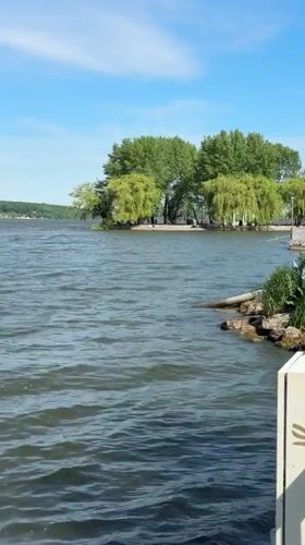 Morning lakeside scenes documented in Ternopil, Ukraine park