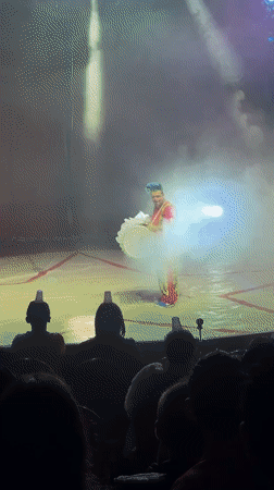 Globe of Death stunt lights up Dublin circus stage