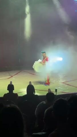 This media file captures a circus performance, likely in Dublin, Ireland, given the context. The scene is a brightly lit stage, filled with dramatic spotlights and hazy smoke, creating a theatrical atmosphere. A performer, dressed as a clown with blue hair and a colorful costume, stands center stage. They are holding a large, white, circular object, possibly a drum or a prop for an act.

In the foreground, the audience is visible, their silhouettes outlined against the stage lights. Many audience members have their hands raised, suggesting engagement and excitement. Some individuals in the front rows have white paper cups balanced on their heads, a common circus tradition or prop. The lighting shifts between bright white and vibrant purple, adding to the dynamic and entertaining nature of the show.

The overall mood conveyed is one of energetic performance and audience enjoyment. The use of smoke and dramatic lighting creates a sense of anticipation and wonder, characteristic of a live circus event. There is no visible text within the media file. The time of day is not explicitly indicated, but the indoor, theatrical setting and dramatic lighting suggest an evening performance.