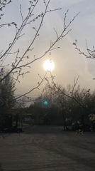 Spring awakening observed in rural Russia