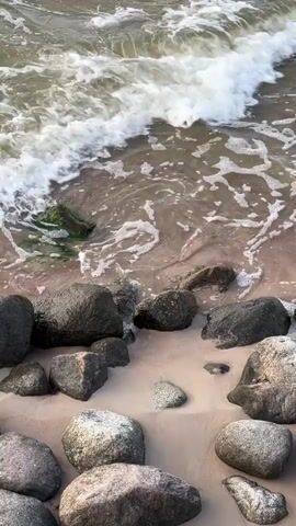 The video shows a close-up, slightly elevated view of a rocky shoreline with waves gently lapping against the sand and rocks. The water is a murky green-brown color and has white foam on its surface as the waves break. The sand is a light beige color and is wet in places where the waves have reached. There are numerous large, dark gray and lighter gray rocks of various shapes and sizes scattered across the foreground and midground of the shot. Some of the rocks appear wet and dark, while others are lighter and drier. A few small green strands of seaweed are visible amongst the rocks and in the shallow water. The scene is natural and appears to be outdoors. There are no people or animals visible in the video. The overall impression is a calm, serene beach scene.