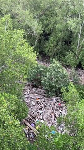 This video, captured from an elevated perspective looking down into a dense, green forest, shows a large accumulation of debris in a clearing. The debris consists primarily of a massive pile of fallen branches and logs. Interspersed within this natural material are numerous pieces of man-made waste, including plastic bottles in various colors such as white, purple, green, and red, as well as other unidentifiable plastic items and possibly some metal objects. The forest canopy is thick, with lush green foliage dominating the scene. The ground beneath the debris appears to be a mix of mud and decaying vegetation, suggesting a damp environment. The sky is overcast, casting a diffused light over the entire area. There are no people visible in the video.