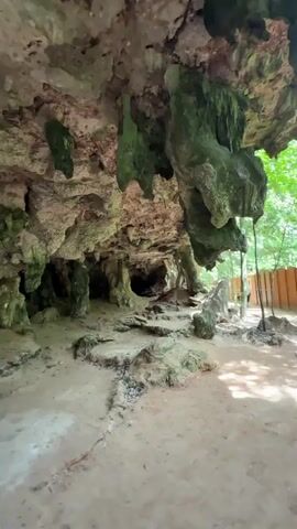 This media file captures a natural scene in Ban Ao Nang, Thailand. The foreground reveals the rough, earthy terrain leading into a shallow cave or overhang. Stalactites, some covered in vibrant green moss, hang from the rocky ceiling, creating an organic, textured canopy. The cave's interior is dark and appears to be supported by natural rock pillars.

The background opens up to a sunlit path bordered by a wooden fence and lush green trees. The sunlight filters through the leaves, casting dappled shadows on the ground, suggesting it is daytime. Two people are visible walking along the path, one adult and a smaller figure, possibly a child, with what appears to be a small dog. They are walking away from the cave entrance and towards the viewer's right. The scene evokes a sense of exploration and appreciation for natural beauty. The overall atmosphere is peaceful and inviting, with the juxtaposition of the dark, ancient cave and the bright, vibrant outdoors. There is no visible text in the media file.