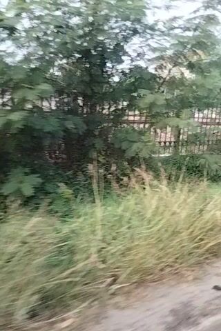 The video shows a high-angle, moving shot of railroad tracks. The tracks are bordered on the right by a patch of tall green grass and on the left by a building with a large, curved roof and multiple windows. A fence runs along the side of the building, separating it from the tracks. The sky appears overcast. The camera appears to be moving forward at a steady pace.
