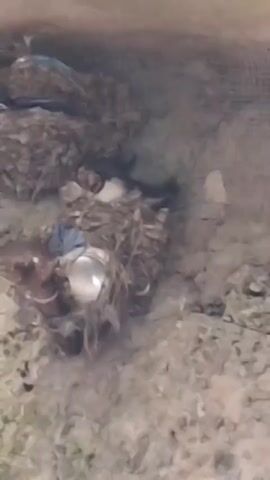 A close-up, blurry video captures two bird nests constructed of twigs and possibly straw. One nest, positioned higher up and to the left, contains what appears to be blue nesting material. The second nest, situated below and to the right, is also made of twigs and has a prominent white object, possibly an egg or a reflective piece of debris, near its center. A small bird with brown and white markings is visible in the lower nest. The background is a textured, light-colored surface, potentially concrete or rock, with a dark circular opening or fixture at the top of the frame. The lighting is dim, contributing to the overall blurriness of the footage.