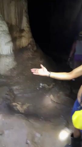 A hand is shown in a cave with a creature on it. The creature is long and thin with many legs. The hand is open and the creature is standing on the palm. There is a light shining on the hand and the creature. The background is dark and rocky. The person's arm is visible from the elbow down. They are wearing a bracelet.