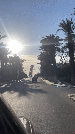 Vehicle travels palm-lined road in Safi, Morocco