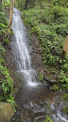 Waterfalls, mossy paths, and ducklings in Xihu District