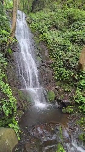 Waterfalls, mossy paths, and ducklings in Xihu District