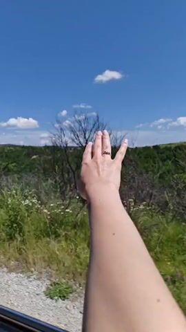 A person's right arm extends out of a car window, with their hand moving up and down as if interacting with the air. The hand has a ring on the middle finger. The background shows a sunny, clear blue sky with scattered white clouds, green hills and trees, and a roadside field of white flowers. The car appears to be in motion, as the scenery changes.