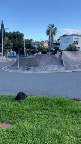 Here is a description of the video:
The video shows a person skateboarding over a low brick ramp in the middle of a street. The skateboarder, dressed in black, approaches the ramp, ollies over it, and continues down the street. A black backpack sits on the grass near the camera. The street is part of a roundabout, with buildings and trees visible in the background. The sky is clear and blue.