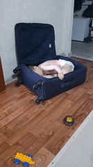 Toddler plays inside suitcase with toys in Ufa home