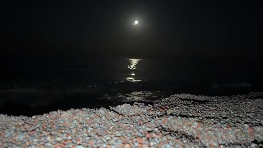 The video shows a nighttime scene at a rocky beach. The moon is visible in the dark sky, casting a reflection on the calm water. Gentle waves are breaking on the shore, with the pebbles of the beach in the foreground. The overall atmosphere is dark and serene, with the moonlight providing the primary illumination. There are no people or any other objects visible in the frame.