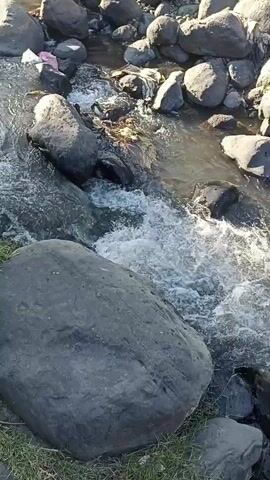 The video shows a natural stream flowing over rocks. The water is clear and appears to be moving quickly, creating whitewater in some areas. The stream bed is lined with rocks of various sizes, and there is some vegetation on the banks. There is also some trash visible in the stream and on the banks, suggesting pollution. The lighting suggests it is daytime.