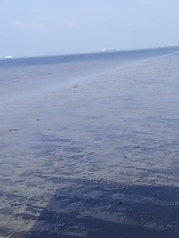The video shows a wide body of water with several ships visible in the distance under a clear, bright sky. The foreground consists of shallow, murky water with a visible seabed, appearing to be a muddy or sandy bottom. There are darker patches and lighter areas on the seabed, possibly indicating changes in depth or substrate. The water's surface is calm with very slight ripples.