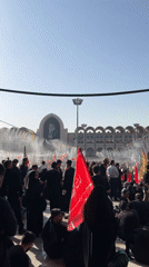 Large crowd with flags assembles outdoors in Tehran